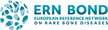 logo_ern